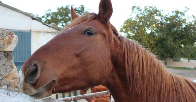 Foto: Manantial del Chorro