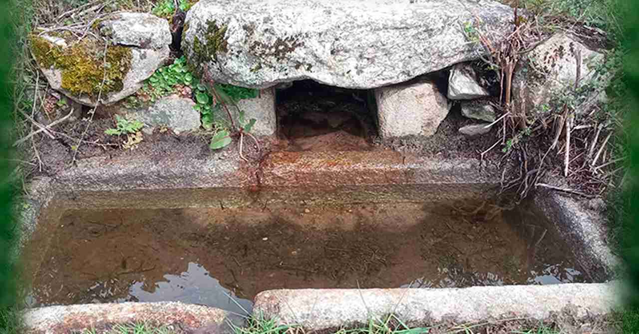 Fuente de La Nava