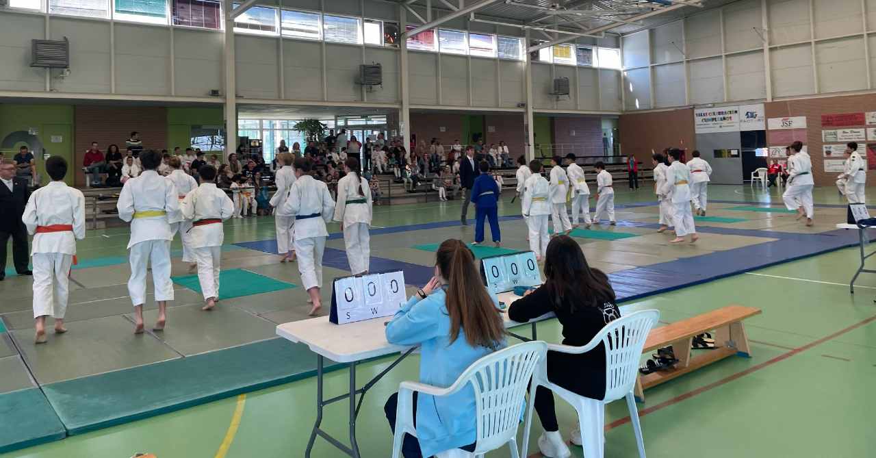 Competiciones de judo