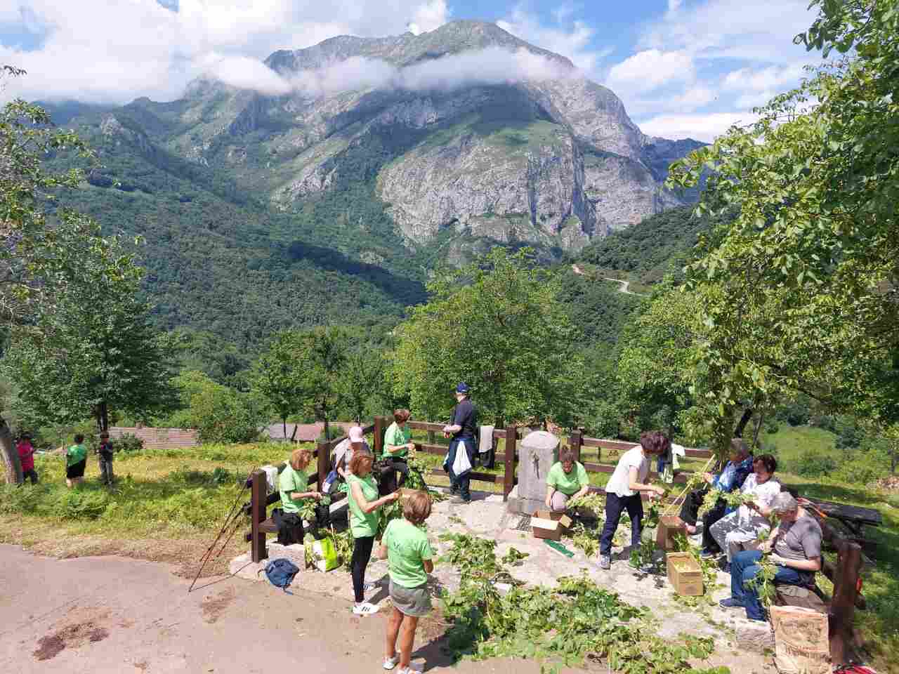 Red de Voluntariado Ambiental