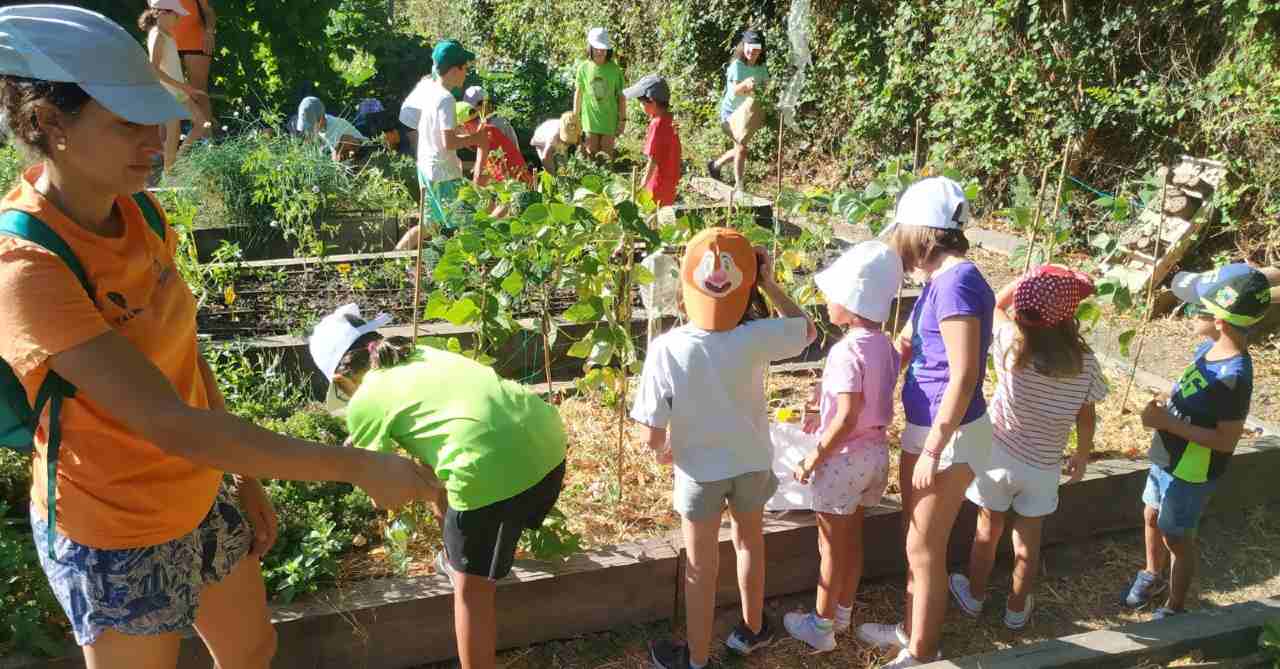 Actividad infantil de ‘Segovia Educa en Verde’