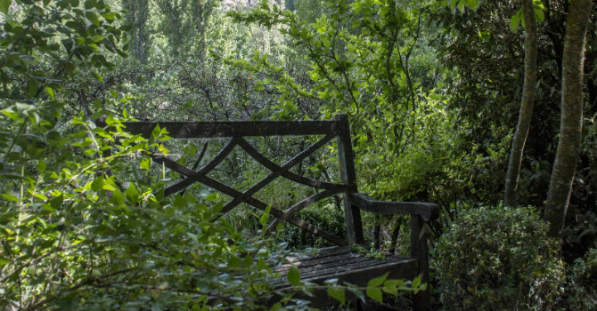 Jard&iacute;n Romeral San Marcos