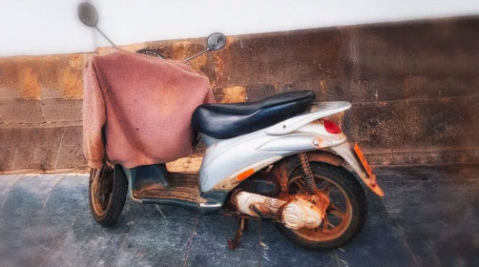 Jersey de sacar a los perros del shock que les producen los voladores