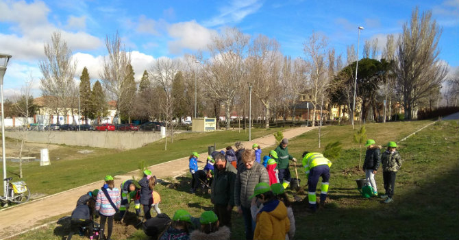 Imagen: Plantación de árboles en Segovia
