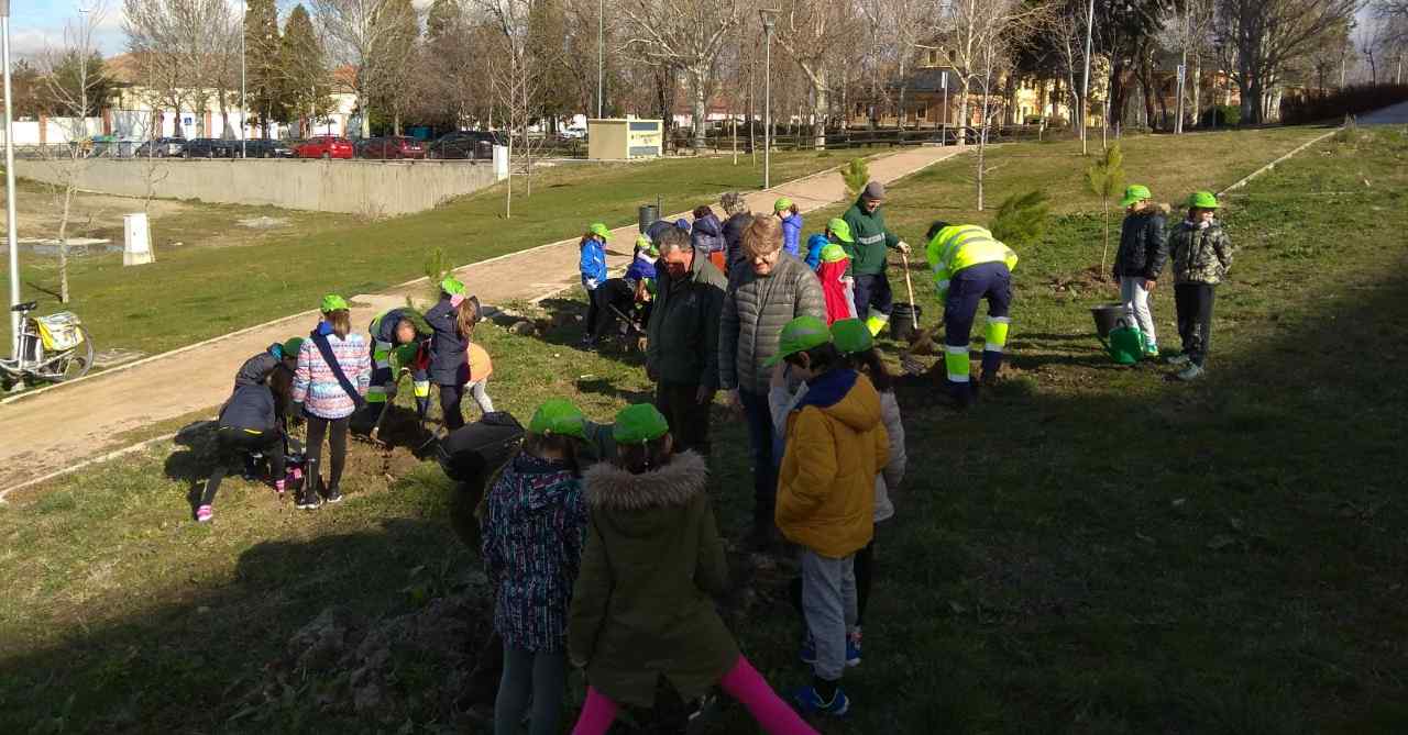 Plantación de árboles en Nueva Segovia