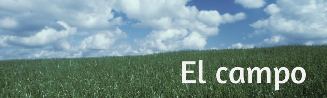 El Campo
